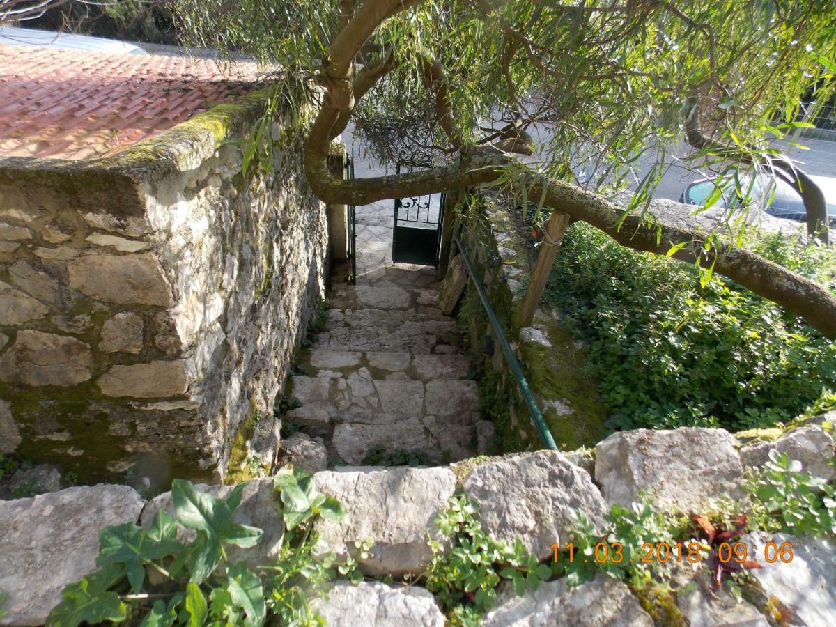 Almond Trees Cottage Divarata Luaran gambar